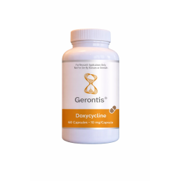 Doxycycline — Doxycycline 100mg, 60 Capsules | Longevity24 Dev