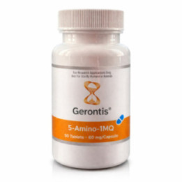 5-amino-1mq Gerontis